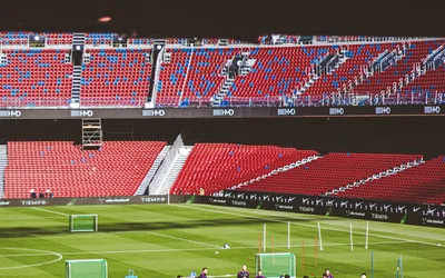 Article Scalp Therapy For Hair Regrowth Does It Work