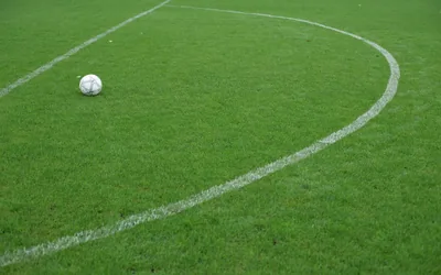 Eric Cantona Manchester United King