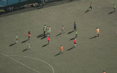 Manchester United Free Transfer Success Stories Analysis