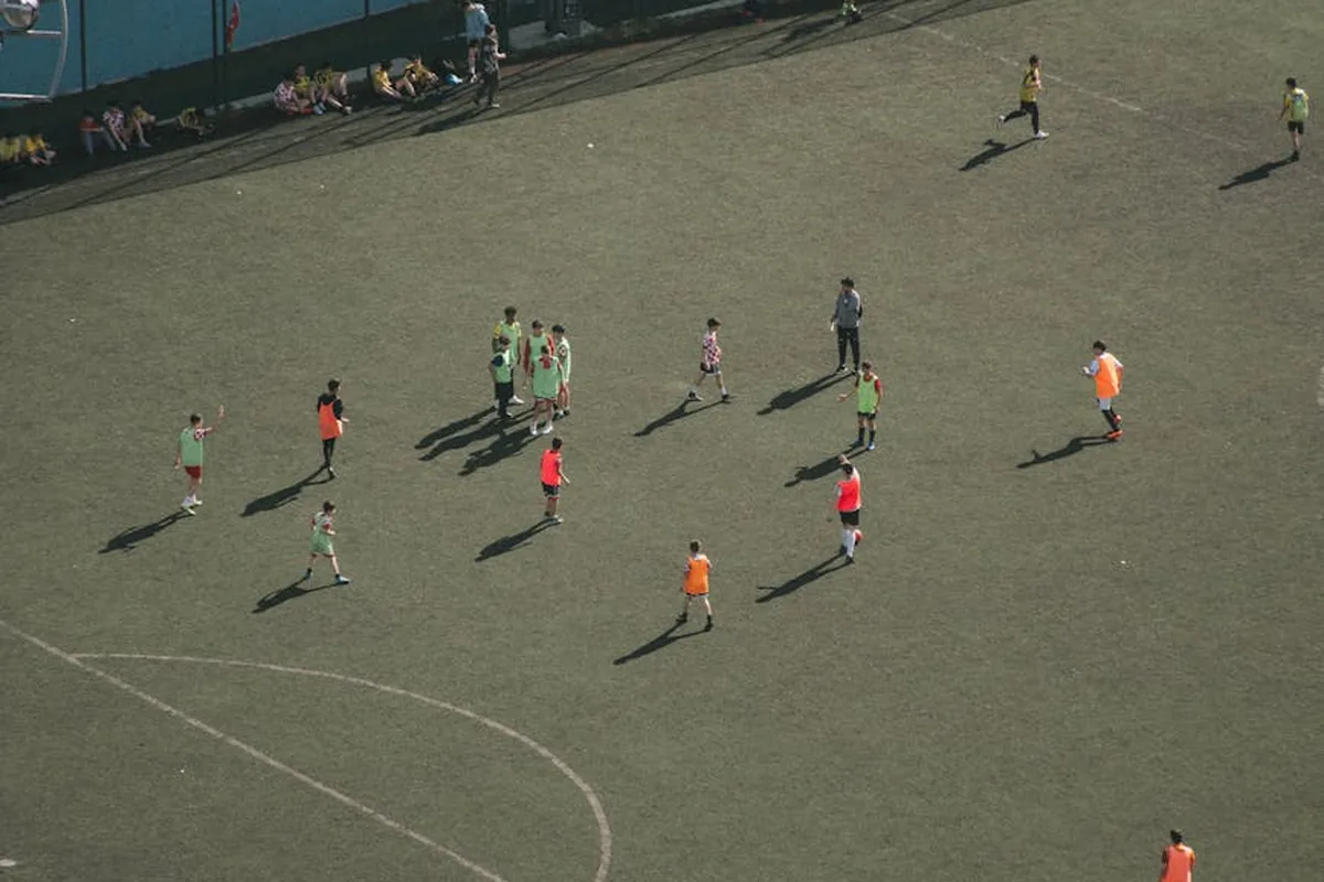 Manchester United Free Transfer Success Stories Analysis