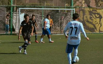 Manchester United Premier League 2024 25 Fixture Analysis