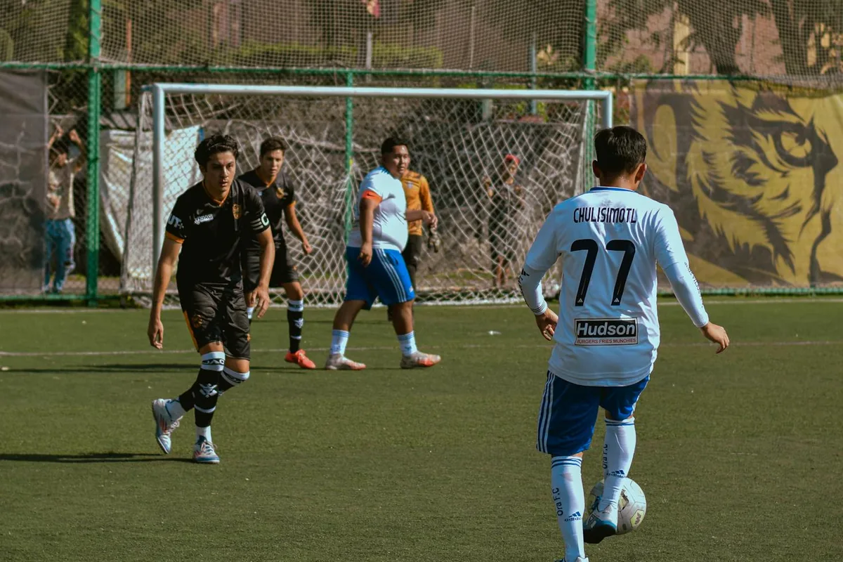 Manchester United Premier League 2024 25 Fixture Analysis