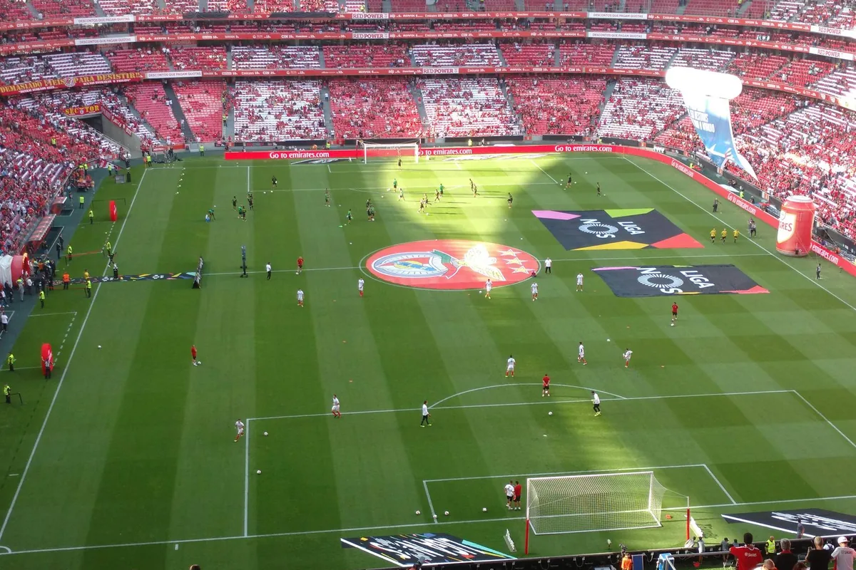 Manchester United Transfer History Complete Guide